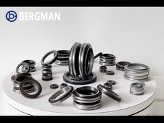 CAR CER الختم الميكانيكي Burgman MG1 12mm Bellows سدادات مضخة المياه